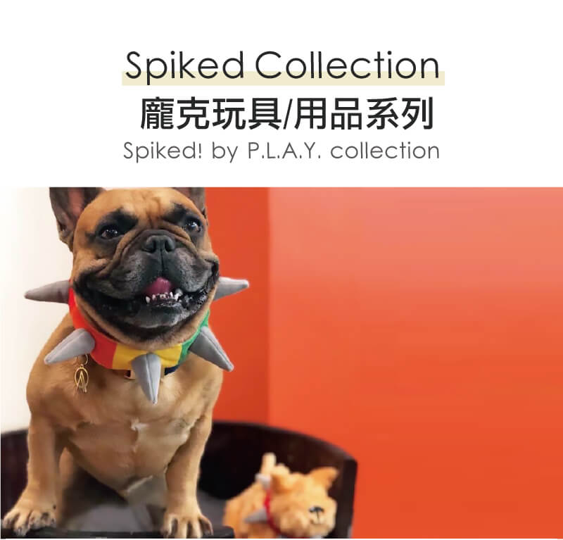 法鬥犬展示 P.L.A.Y. 龐克鉚釘系列的彩色造型