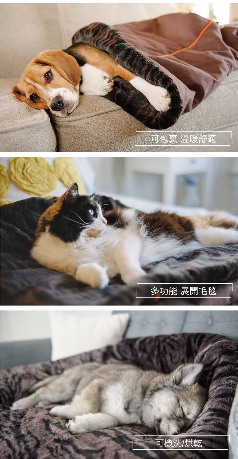 狗狗與貓咪使用 P.L.A.Y. 多功能依偎睡袋(松露咖啡)的情境