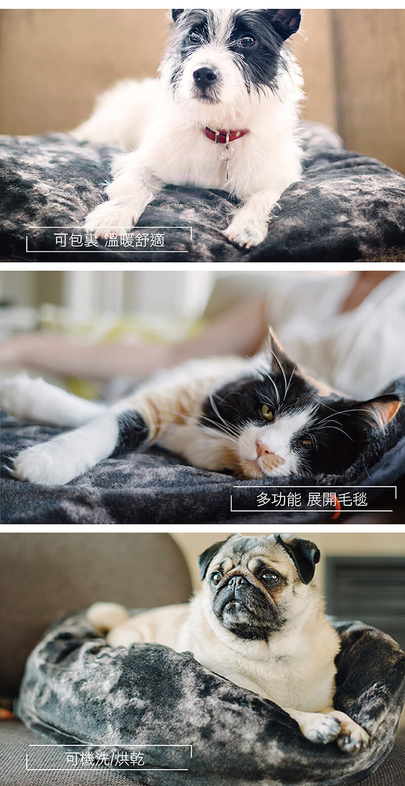 狗狗與貓咪使用 P.L.A.Y. 多功能依偎睡袋(炭灰)的情境
