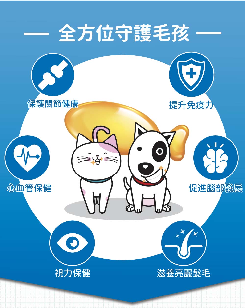 EPA 與 DHA 的日常保養建議