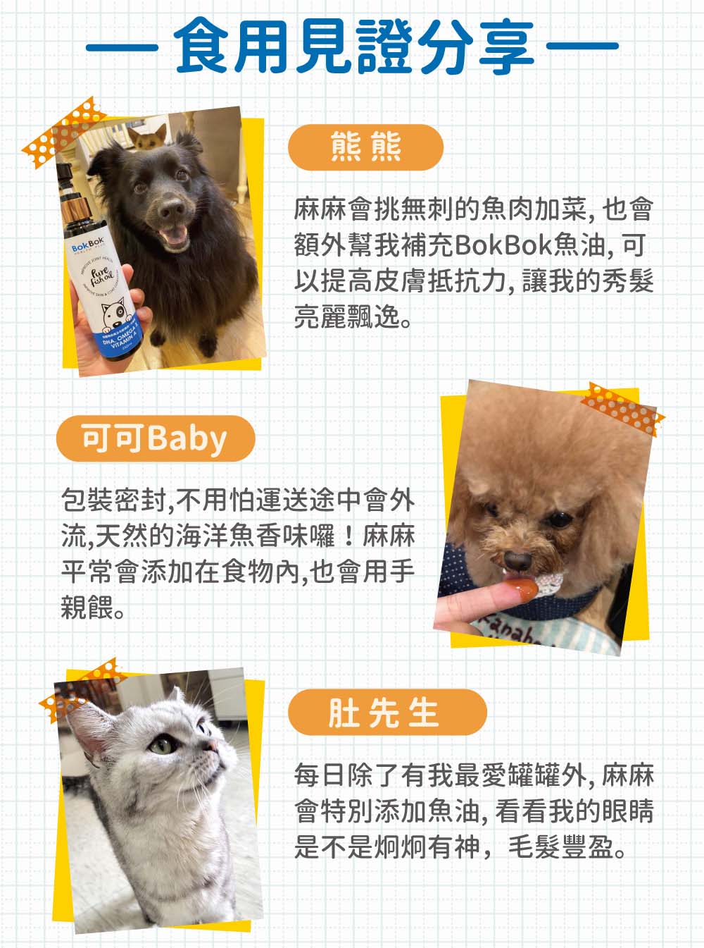 維生素 A / D 與關節保健