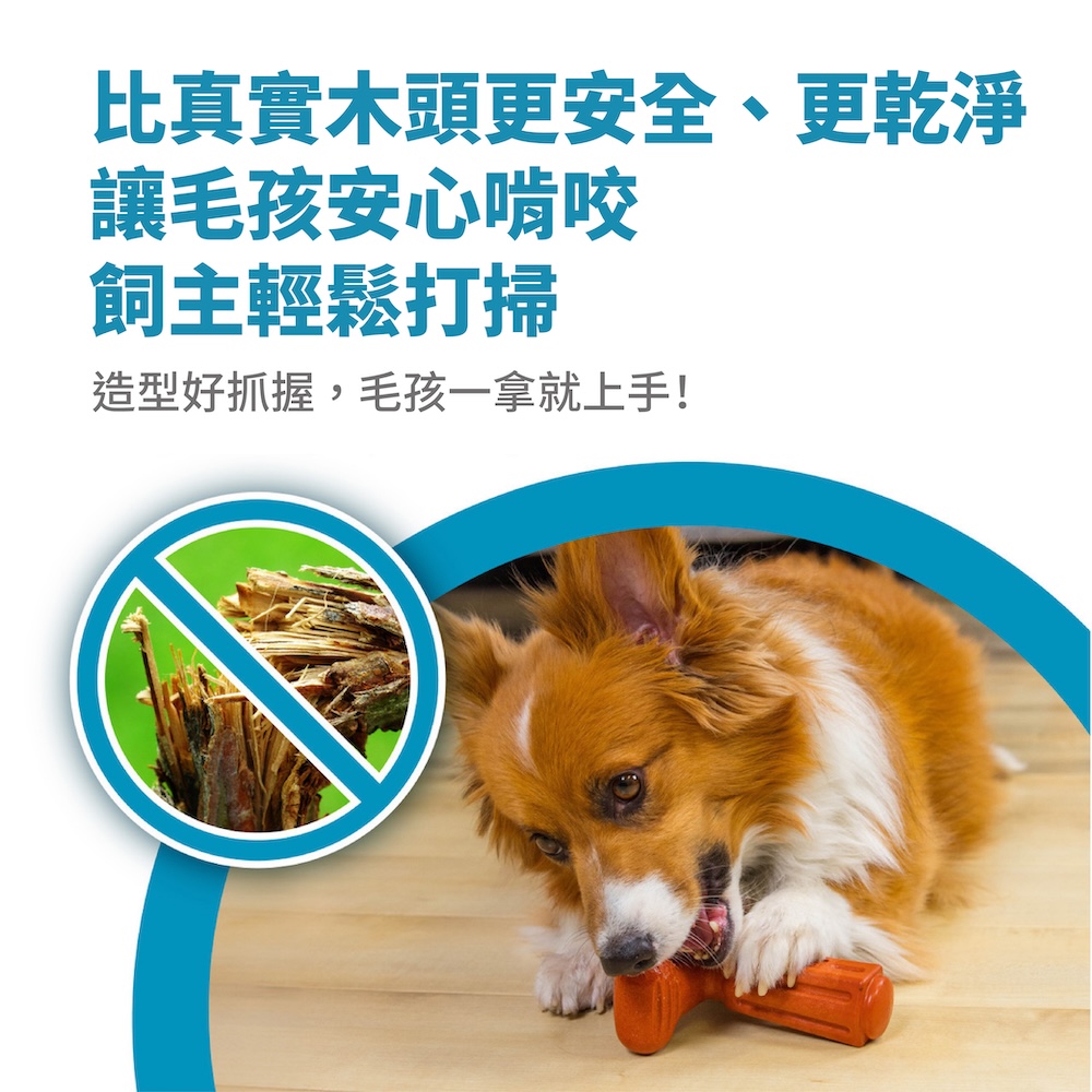 T 型 BBQ 史迪克 商品圖 4