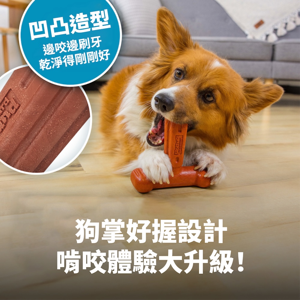 T 型 BBQ 史迪克 商品圖 1