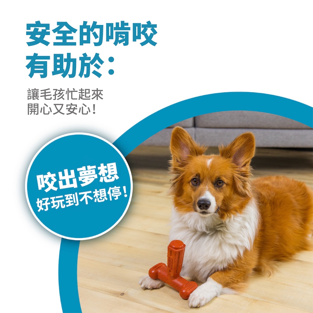 T 型 BBQ 史迪克 商品圖 3