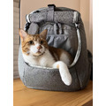 美國TRAVELCAT 貓旅行大貓肥貓專用寵物後背包 敞篷全景窗-大貓款 可折疊收納 緬因貓 挪威森林 布偶貓都可_8 美國TRAVELCAT 貓旅行大貓肥貓專用寵物後背包 敞篷全景窗-大貓款 可折疊收納 緬因貓 挪威森林 布偶貓都可_8