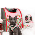 Strawberry Shortcake草莓甜心x Travel Cat貓旅行聯名款 貓專用背心+牽繩 透氣舒服不易逃脫_5 Strawberry Shortcake草莓甜心x Travel Cat貓旅行聯名款 貓專用背心+牽繩 透氣舒服不易逃脫_5