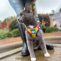 美國TRAVELCAT 貓旅行 我愛彩虹x貓專用胸背式外出背心+牽繩 透氣舒服不易逃脫 同志彩虹 幸福彩虹 限定款_6 美國TRAVELCAT 貓旅行 我愛彩虹x貓專用胸背式外出背心+牽繩 透氣舒服不易逃脫 同志彩虹 幸福彩虹 限定款_6