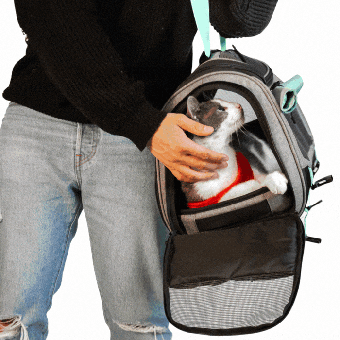 美國TRAVELCAT 貓旅行THE TRANSPURRTER呼嚕嚕多功能寵物外出包(薄荷綠)_15 美國TRAVELCAT 貓旅行THE TRANSPURRTER呼嚕嚕多功能寵物外出包(薄荷綠)_15