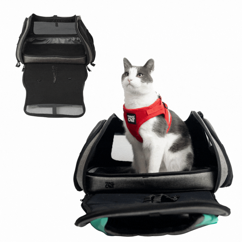 美國TRAVELCAT 貓旅行THE TRANSPURRTER呼嚕嚕多功能寵物外出包(薄荷綠)_16 美國TRAVELCAT 貓旅行THE TRANSPURRTER呼嚕嚕多功能寵物外出包(薄荷綠)_16