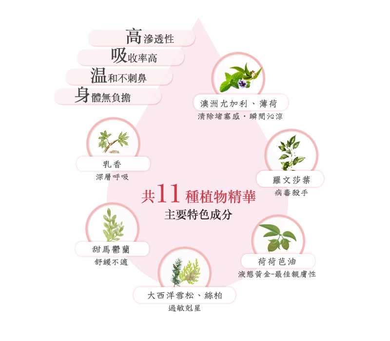 貝拉香氛&貝拉愛氛饗,呼吸順暢,複方精油,精油推薦,植物精華,植萃,成份