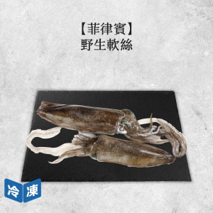 【菲律賓】野生軟絲|275g 【菲律賓】野生軟絲|275g