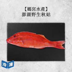 【媽宮水產】澎湖野生秋姑|約350g 【媽宮水產】澎湖野生秋姑|約350g