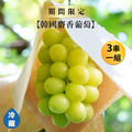 【韓國】麝香葡萄/450g(3串一組)_1 【韓國】麝香葡萄/450g(3串一組)_1