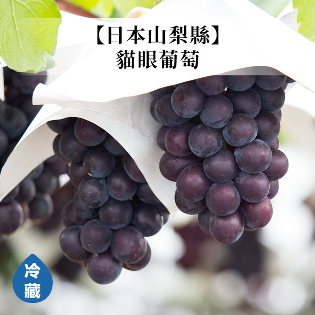 【日本山梨縣】貓眼葡萄/串 【日本山梨縣】貓眼葡萄/串
