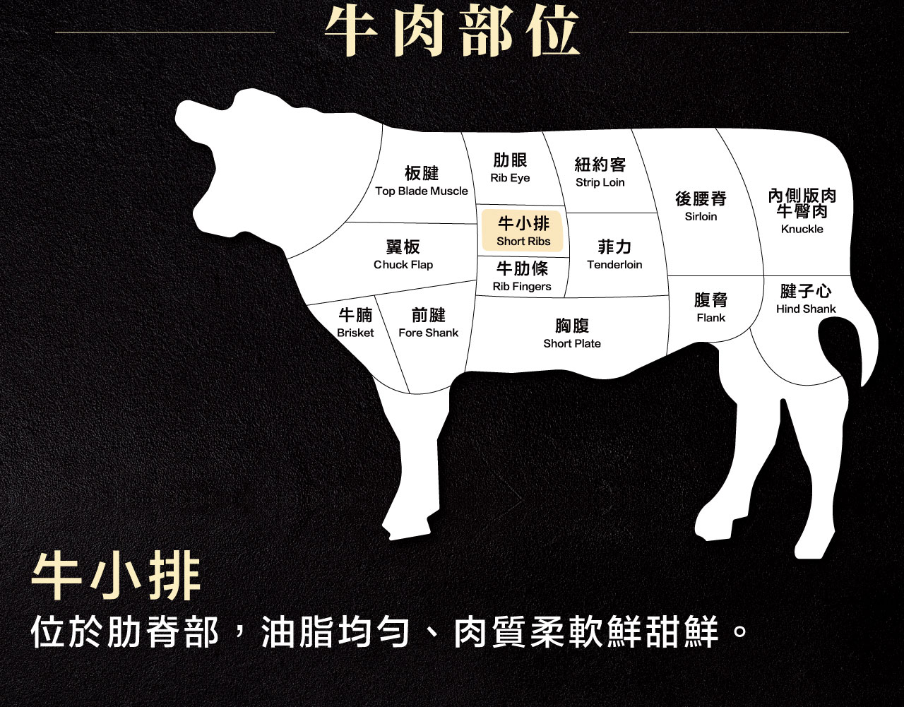 牛小排位於肋脊部,油脂均勻、肉質柔軟鮮甜鮮。 牛小排 位於肋脊部,油脂均勻、肉質柔軟鮮甜鮮。