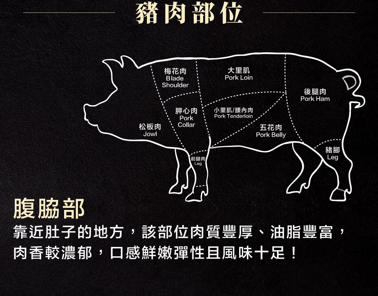 腹脇部
靠近肚子的地方,該部位肉質豐厚、油脂豐富,
肉香較濃郁,口感鮮嫩彈性且風味十足! 腹脇部 靠近肚子的地方,該部位肉質豐厚、油脂豐富, 肉香較濃郁,口感鮮嫩彈性且風味十足!