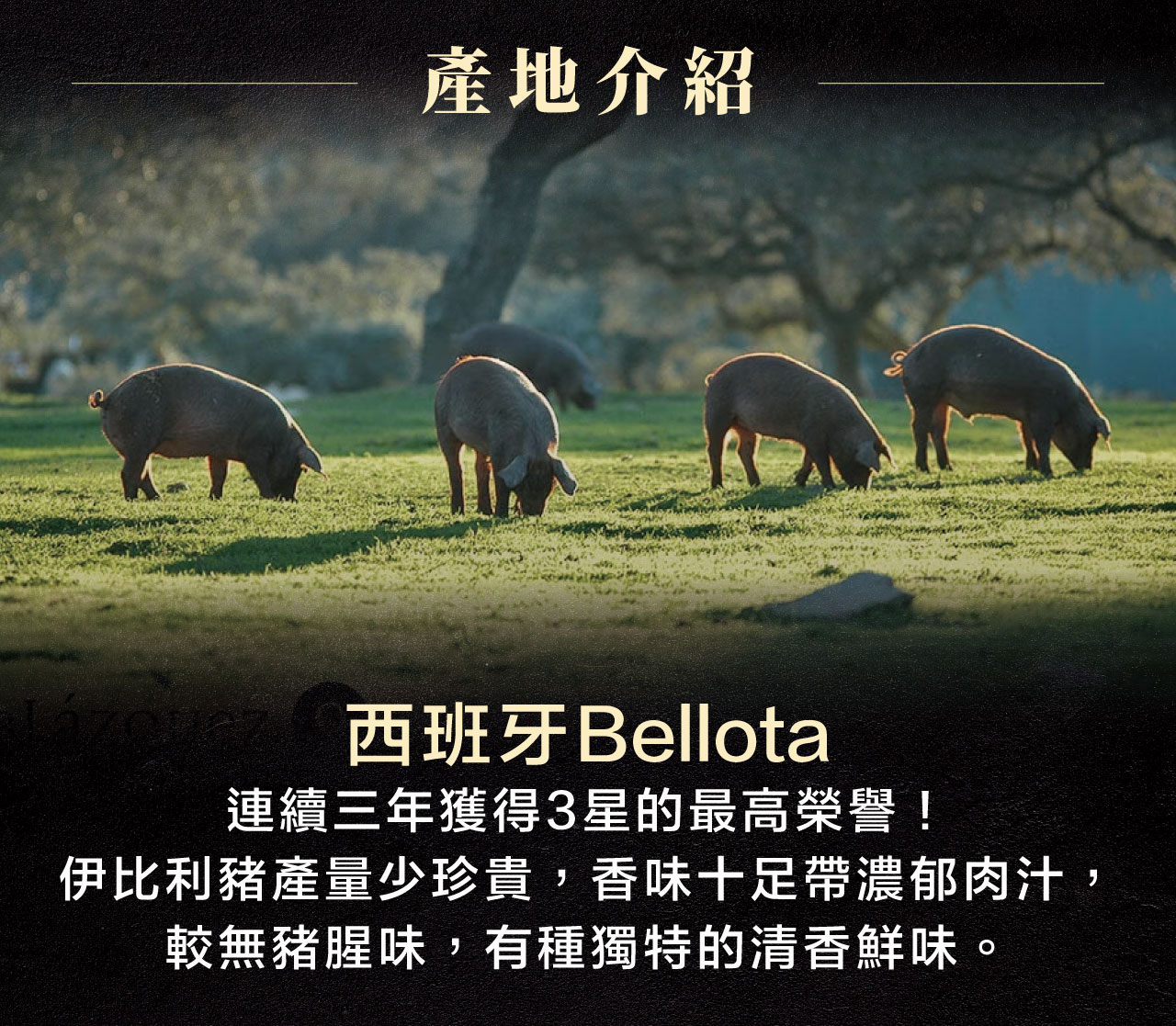西班牙Bellota連續三年獲得3星的最高榮譽!伊比利豬產量少珍貴,香味十足帶濃郁肉汁,較無豬腥味,有種獨特的清香鮮味。 西班牙Bellota 連續三年獲得3星的最高榮譽! 伊比利豬產量少珍貴,香味十足帶濃郁肉汁, 較無豬腥味,有種獨特的清香鮮味。