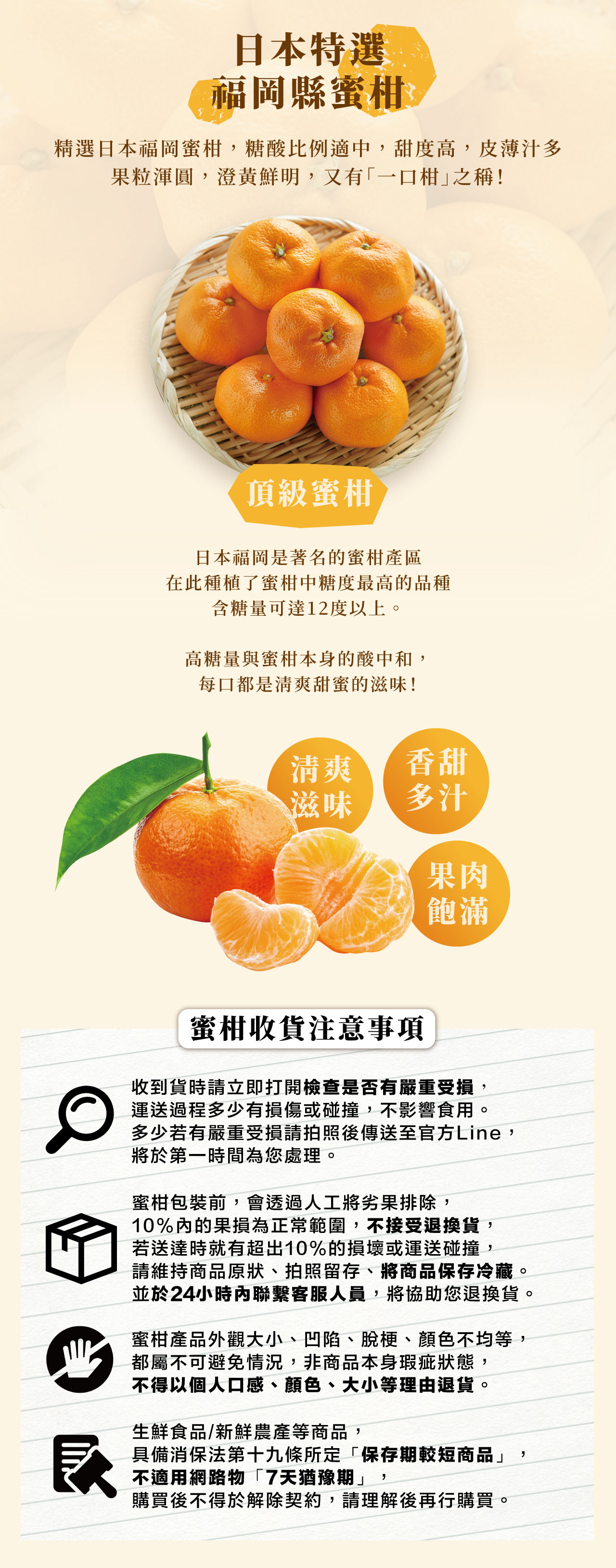 日本福岡縣 特選蜜柑
