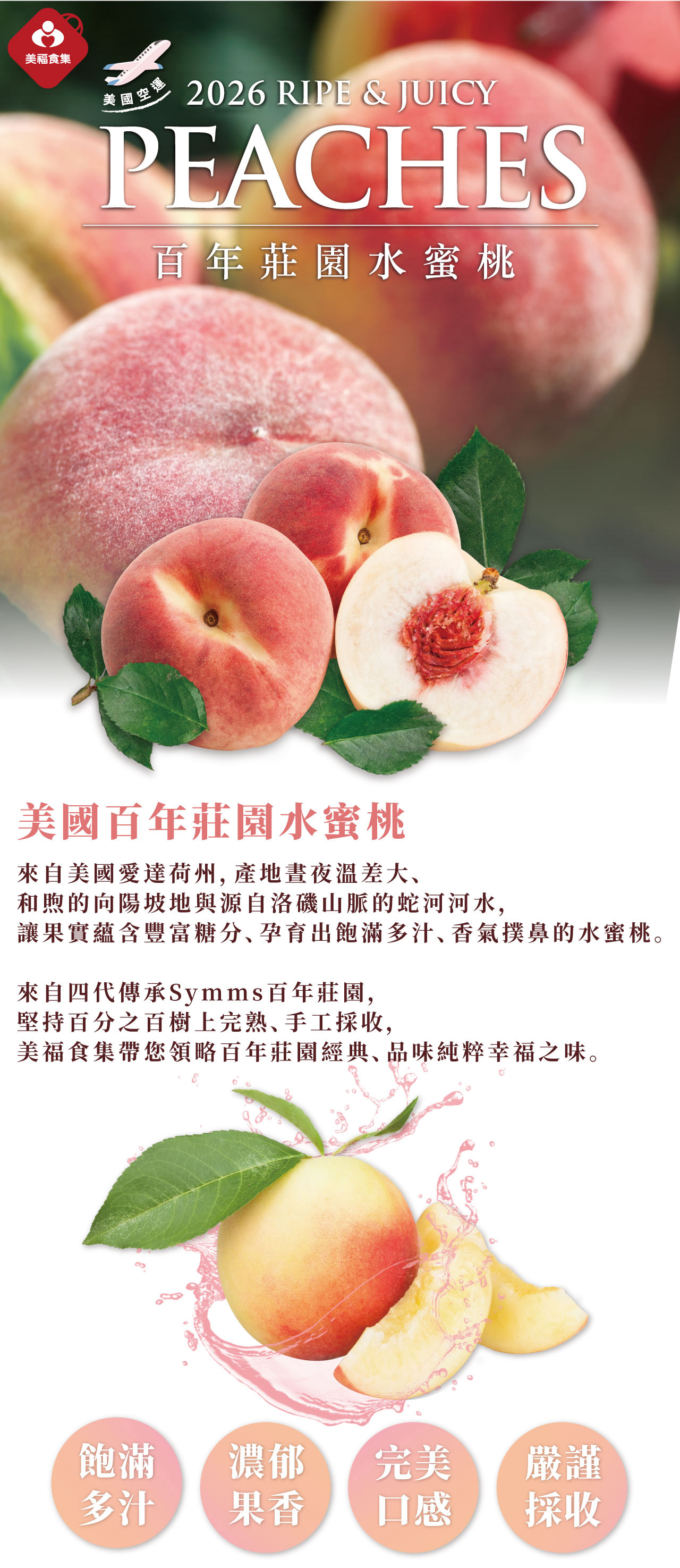 美國空運 百年莊園水蜜桃:樹上100%完熟,甜美多汁,果香濃郁。空運直送,品質優良;果香濃郁、清爽鮮甜! 美國空運 百年莊園水蜜桃:樹上100%完熟,甜美多汁,果香濃郁。空運直送,品質優良;果香濃郁、清爽鮮甜!