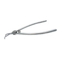 TORVM Forceps_1 TORVM Forceps_1