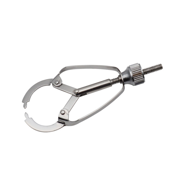 TORVM Ivory Matrix Retainer TORVM Ivory Matrix Retainer