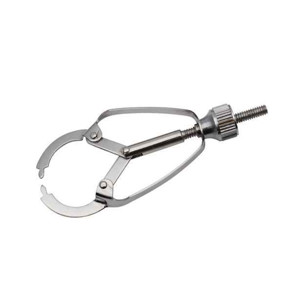 TORVM Ivory Matrix Retainer