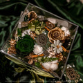 高級香氛聖誕永生花禮盒-BV綠 高級香氛聖誕永生花禮盒-BV綠