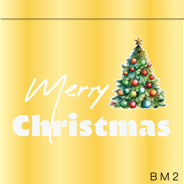 金箱MB2