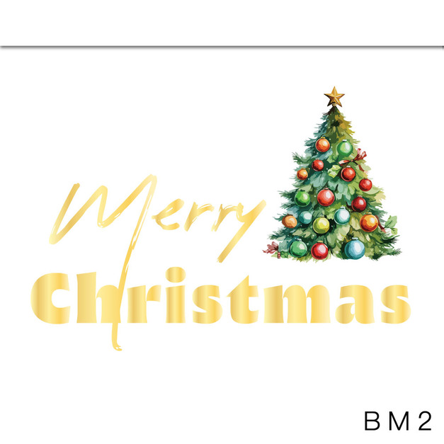 白箱MB2