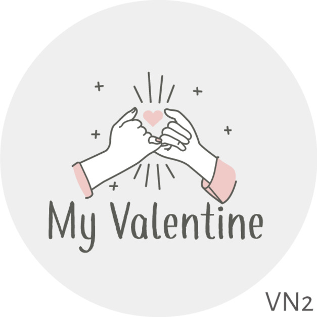 外觀設計VN02 +NT80