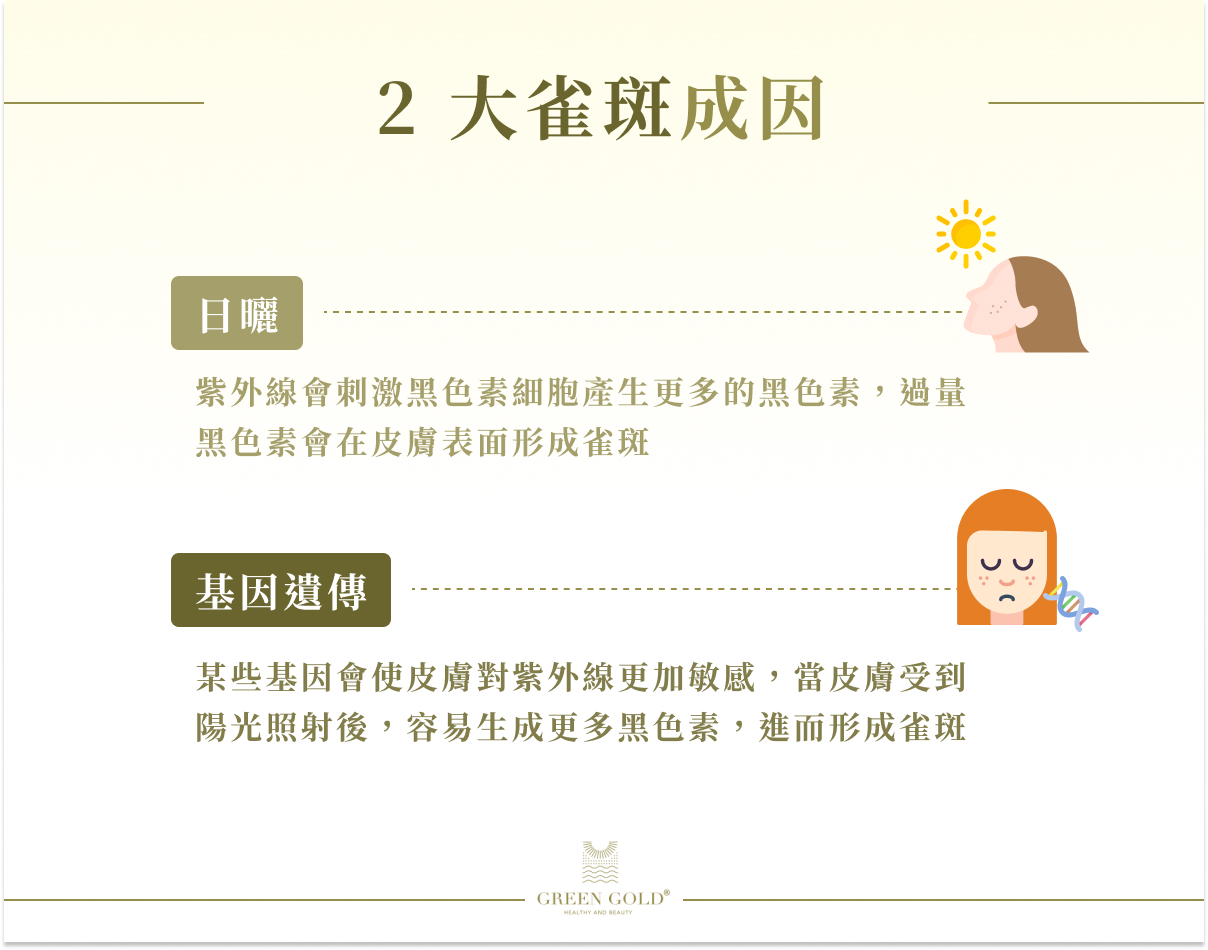 2 大雀斑成因