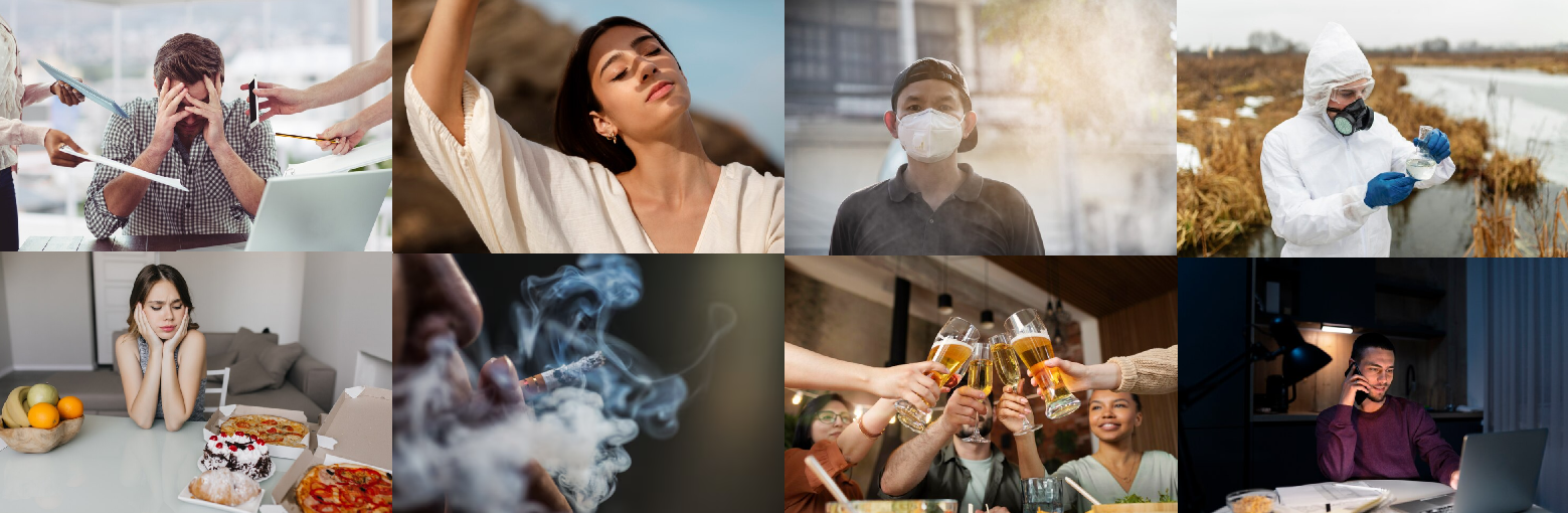 『抗氧抗發炎』體內的化學作用所自然產生的氧化壓力,生活中的壓力、紫外線傷害、空氣污染、農藥重金屬污染、飲食負擔、抽煙喝酒與熬夜,也會惡化體內的發炎程度。