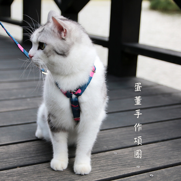 【H型胸背帶-套頭式】成貓到巨貓都可訂製