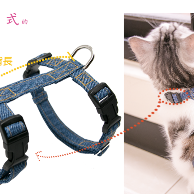 【幼幼貓-H型胸背帶】專為幼幼貓量身訂製