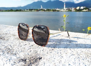 2is CassiC 太陽眼鏡 偏光│大框│玳瑁色│抗UV400 2is CassiC 太陽眼鏡 偏光│大框│玳瑁色│抗UV400