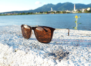 2is DanC 太陽眼鏡│百搭方框│咖啡色│抗UV400 2is DanC 太陽眼鏡│百搭方框│咖啡色│抗UV400