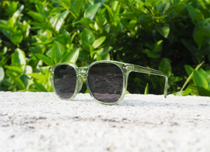 2is TreeL 太陽眼鏡 偏光 經典梨形 抗UV400 2is TreeL 太陽眼鏡 偏光 經典梨形 抗UV400