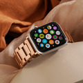 APPLE WATCH - 通用錶帶 經典三排亮面316L不鏽鋼錶帶 APPLE WATCH - 通用錶帶 經典三排亮面316L不鏽鋼錶帶