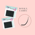 Royale L+ Lashes 0.07 / 0.15_2 Royale L+ Lashes 0.07 / 0.15_2