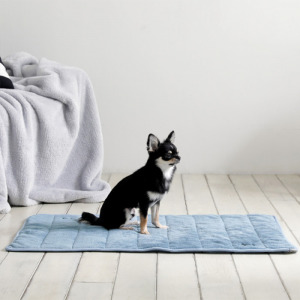 查理寵物吸水墊 查理寵物吸水墊