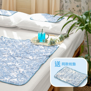 韓國製降溫冰涼墊90x60 (送枕墊) 韓國製降溫冰涼墊90x60 (送枕墊)