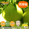 【堂果號】正宗鶴崗老欉西施柚|近40年老欉|一箱10斤裝|西施柚 | 10月下旬陸續出貨_2 【堂果號】正宗鶴崗老欉西施柚|近40年老欉|一箱10斤裝|西施柚 | 10月下旬陸續出貨_2