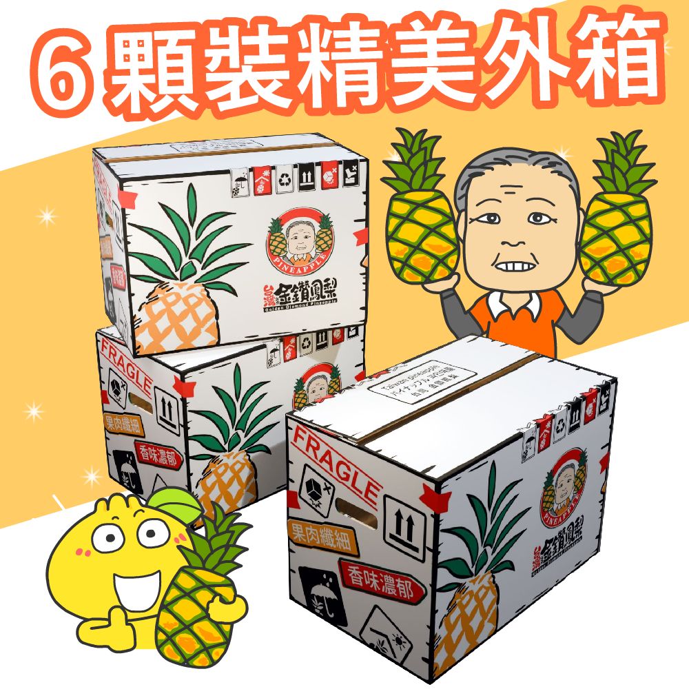 林內鳳梨博士- 柑仔家族-6顆外箱