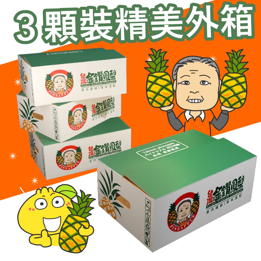 林內鳳梨博士- 柑仔家族-3顆外箱