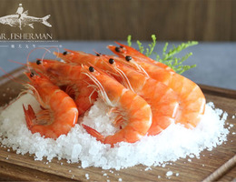 冷凍熟白蝦 Frozen Cooked White Shrimp