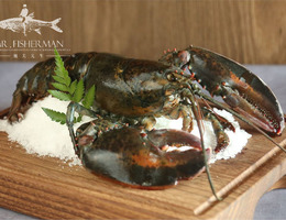波士頓龍蝦 Boston Lobster