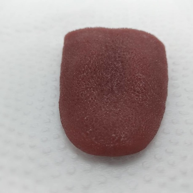 仿真舌頭 仿真舌頭