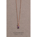 星辰 | 925純銀鎖骨鍊 | 水瓶座。Amethyst | 紫水晶 | 星辰 | 925純銀鎖骨鍊 | 水瓶座。Amethyst | 紫水晶 |