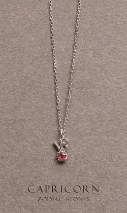 星辰 | 925純銀鎖骨鍊 | 摩羯座。Garnet | 石榴石 |