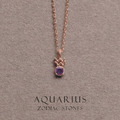 星辰 | 925純銀鎖骨鍊 | 水瓶座。Amethyst | 紫水晶 |_1 星辰 | 925純銀鎖骨鍊 | 水瓶座。Amethyst | 紫水晶 |_1